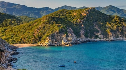 Nui Chua National Park: Discovering the 'mini desert' by the sea