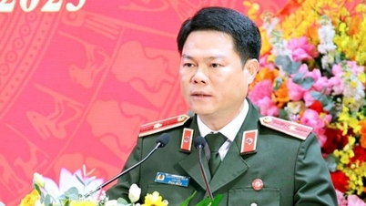 El general de división Nguyen Huu Manh fue nombrado director del Departamento de Seguridad Interna.