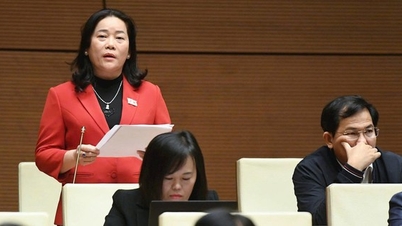 Herzie het regionale universiteitsmodel zorgvuldig en herstructureer de aangesloten universiteiten op een effectieve manier.