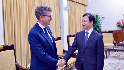 Розробка Рамкової програми співробітництва на 2026-2030 роки та святкування 50-ї річниці співпраці між В'єтнамом та ЮНЕСКО