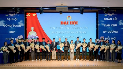 Công ty trách nhiệm hữu hạn Samsung Display Việt Nam Đại hội Công đoàn nhiệm kỳ 2025 - 2030