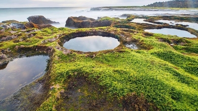 Hon Do Ninh Thuan: Karada fosil mercan resiflerinin keşfi