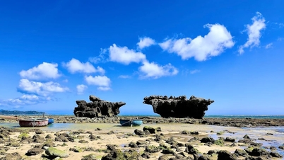 Hon Do Ninh Thuan: Watching coral on land and hunting for green moss season