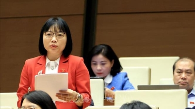 คาดหวังความก้าวหน้าในด้านการศึกษาและการฝึกอบรม