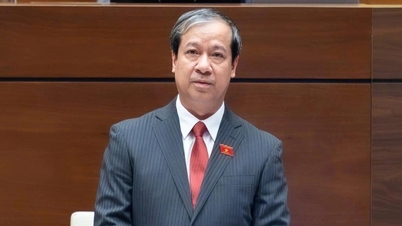 “Bộ Giáo dục không can thiệp vào việc đào tạo bác sĩ chuyên khoa”