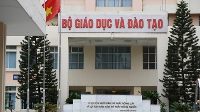 Chính phủ ra quy định mới về cơ cấu tổ chức của bộ, cơ quan ngang bộ