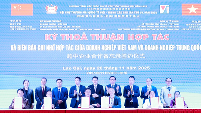 Seize paires d'accords de coopération ont été signées lors de la Conférence afin d'introduire des mécanismes et des politiques d'import-export associés au commerce entre les entreprises vietnamiennes et chinoises.