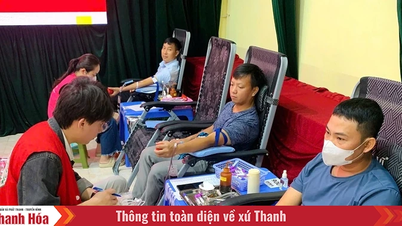 Das Provinzkrankenhaus Thanh Hoa weitet seine Blutspendeorganisation auf die Provinz Ninh Binh aus