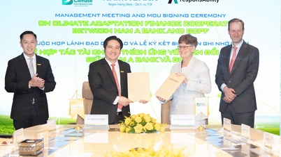 Banka Nam A a GCPF podepsaly dohodu o spolupráci na společném výzkumu finančního rámce pro adaptaci na změnu klimatu.