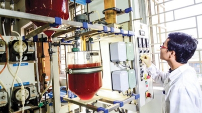 Triển khai quyết liệt các nhiệm vụ trọng tâm về KHCN, đổi mới sáng tạo, chuyển đổi số và Đề án 06