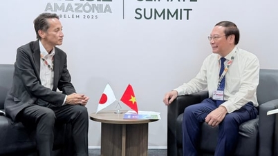 Vietnã e Japão cooperam para desenvolver projeto de crédito de carbono
