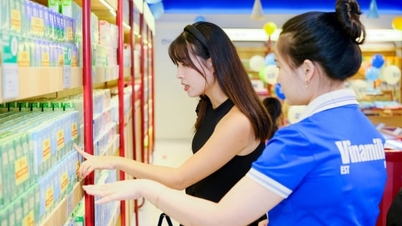 وینامیلک روند مصرف سبز را رهبری می‌کند