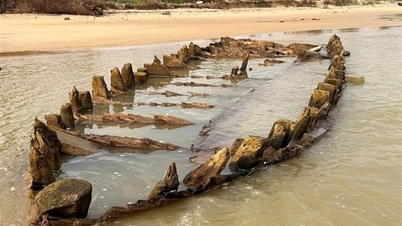 ບັນດາກຳປັ່ນບູຮານທີ່ຄົ້ນພົບຢູ່ຝັ່ງທະເລ ໂຮ້ຍອານ ຈະຖືກຂຸດຄົ້ນ ແລະ ນຳກັບມາຮັກສາ ແລະວາງສະແດງໃນອີກບໍ່ດົນ.