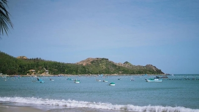 Biển Vịnh Hòa: Khám phá vẻ đẹp hoang sơ ở Phú Yên