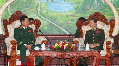 Vietnam akan memberikan dukungan sebesar-besarnya untuk membantu Laos menyelenggarakan Perayaan Hari Nasional ke-50 dengan sukses.