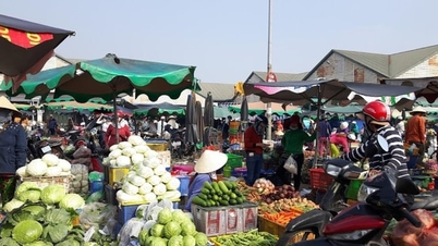 ہو چی منہ شہر سیلاب کی وجہ سے سبزیوں اور پھلوں کی کمی سے پریشان ہے۔