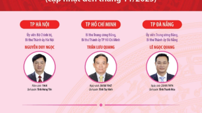 34 Bí thư Tỉnh ủy, Thành ủy nhiệm kỳ 2025-2030 (cập nhật đến tháng 11/2025)
