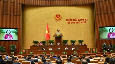 Thông cáo báo chí số 25, Kỳ họp thứ 10, Quốc hội Khóa XV