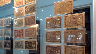Poprvé vystaveno více než 1 500 artefaktů vietnamské měny