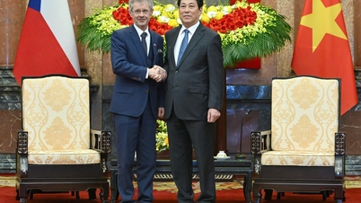 הרפובליקה הצ'כית תספק סיוע הומניטרי לאנשים שנפגעו מסופות ושיטפונות באזור המרכז.