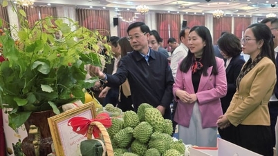 Lang Son: Produk OCOP perlu membuat terobosan yang lebih kuat untuk menegaskan posisinya