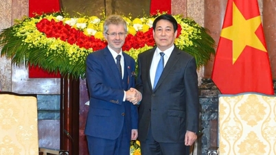 הרפובליקה הצ'כית תתמוך באנשים שנפגעו מסופות ושיטפונות באזור המרכז.