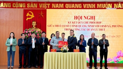 両省税務当局は、二層地方政府を実施した後、税務管理の実施状況を評価し、税務管理任務を展開した。