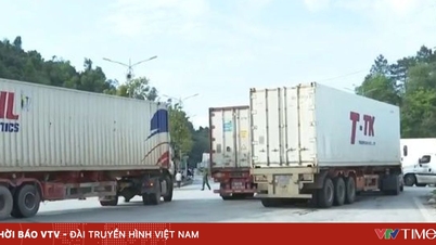 برآمدات میں تیزی، ویتنام کا مقصد 2025 میں نیا ریکارڈ بنانا ہے۔