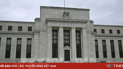 صدر ٹرمپ کرسمس سے پہلے فیڈ چیئرمین کی تبدیلی کا فیصلہ کرنے کی توقع رکھتے ہیں۔