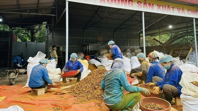 Bach Thong promove a economia coletiva e arrecada fundos para produtos OCOP.