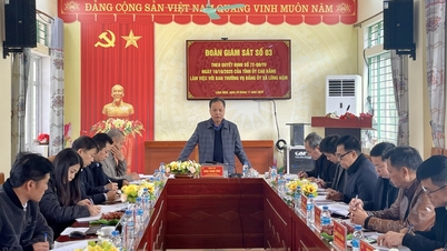 Den provinsiella partikommitténs övervakningsdelegation arbetade i kommunerna Lung Nam och Thong Nong.