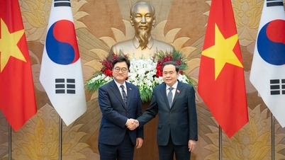 ベトナムと韓国の国会間の協力の促進