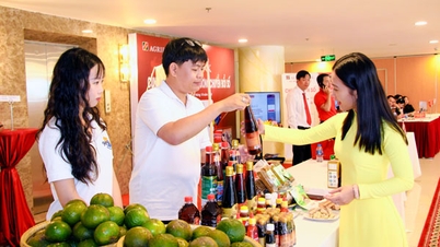 Expanding the market for key agricultural products