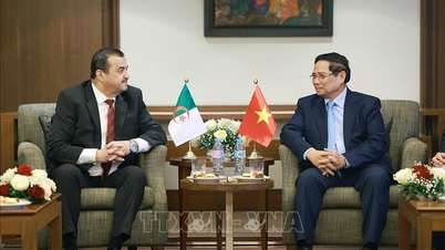 Thủ tướng tiếp Bộ trưởng Bộ Năng lượng Algeria
