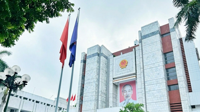 ระเบียบใหม่เกี่ยวกับจำนวนรองประธานและกรรมการคณะกรรมการประชาชน