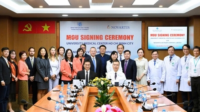 모범적인 치료 모델을 구축하고 개발하며 환자를 위한 프로그램을 시행하는 데 협력합니다.