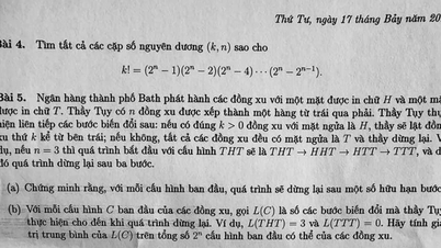 国際数学オリンピックの試験問題のベトナム語訳にホアン・トゥイ教授の名前が掲載された。