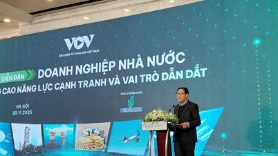 Nâng cao năng lực và vai trò dẫn dắt của doanh nghiệp nhà nước