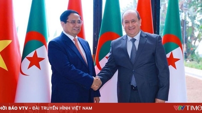 សេចក្តីថ្លែងការណ៍រួមស្តីពីការបង្កើតទំនាក់ទំនងដៃគូយុទ្ធសាស្ត្រវៀតណាម-អាល់ហ្សេរី