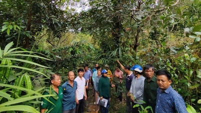 Генетические ресурсы коренных народов открывают путь к устойчивому развитию средств к существованию