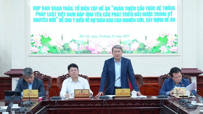 Aperfeiçoar a estrutura do sistema jurídico do Vietnã em uma direção simplificada.