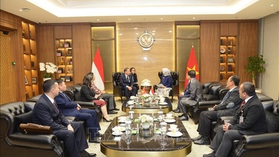 Stärkung der Zusammenarbeit zwischen Vietnam und Indonesien im Bereich der Wirtschaftsprüfung