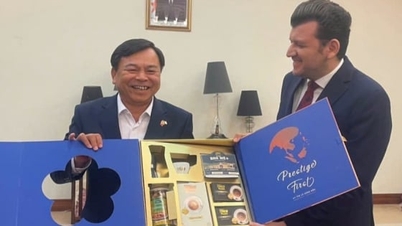 Algeria hội tụ các điều kiện thuận lợi cho đầu tư nông nghiệp