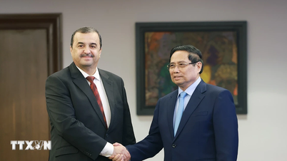 Thủ tướng làm việc với các Bộ, Tập đoàn của Algeria để cụ thể hóa quan hệ Đối tác Chiến lược