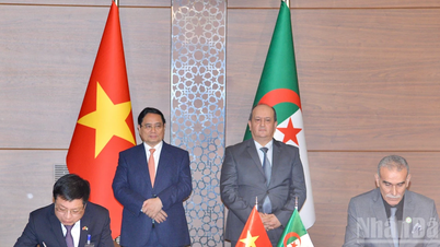 Hai Liên đoàn Thương mại và Công nghiệp Việt Nam và Algeria tăng cường hợp tác nhiều mặt