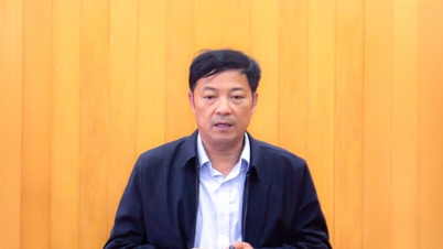 Η Λαμ Ντονγκ επιταχύνει τον καθαρισμό των δεδομένων γης