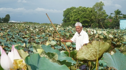 Prestigious people contribute to keeping peace in border areas