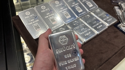 2025년 11월 21일 오늘의 은 가격: 은 하락