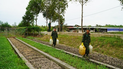 Hrănirea unor trupe sănătoase la Batalionul 207