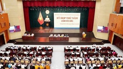 Нові правила щодо кількості заступників голів народних комітетів провінцій та міст